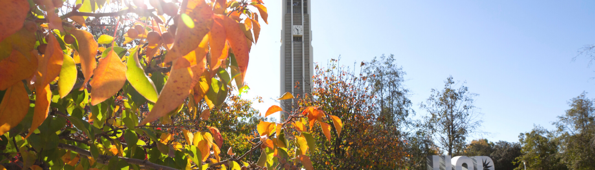 UCR bell tower with trees in foreground